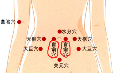 盲俞穴→治腹脹、便秘