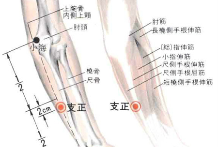 支正穴→治頭痛、目眩