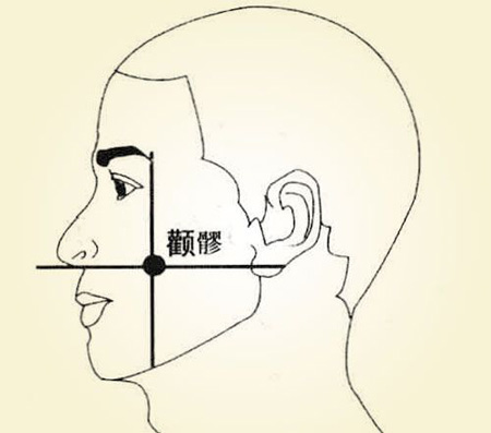 顴髎穴→清熱消腫