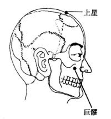 巨髎穴→清熱息風(fēng)