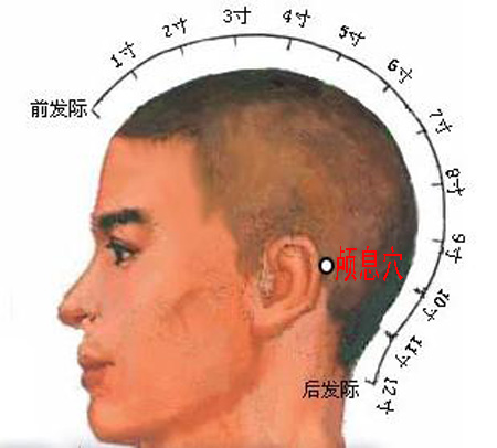 顱息穴→治頭痛、耳痛