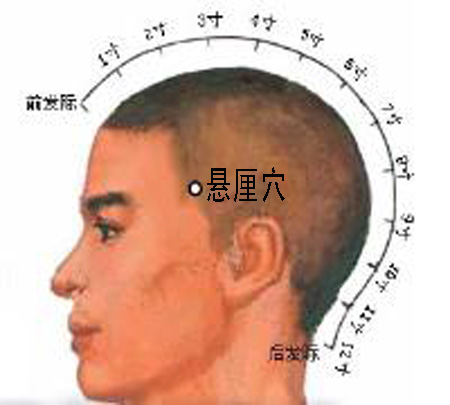 懸厘穴→治偏頭痛、面腫