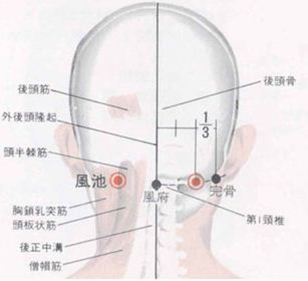 風(fēng)府穴→治頭面、五官疾病