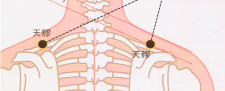 天髎穴→預防肩關(guān)節(jié)炎