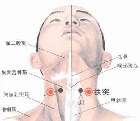 扶突穴→治干咳、氣喘