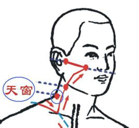 天窗穴→治耳鳴、耳聾