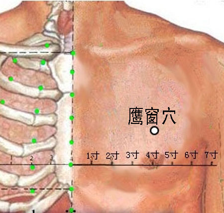 鷹窗穴→治咳嗽、氣喘