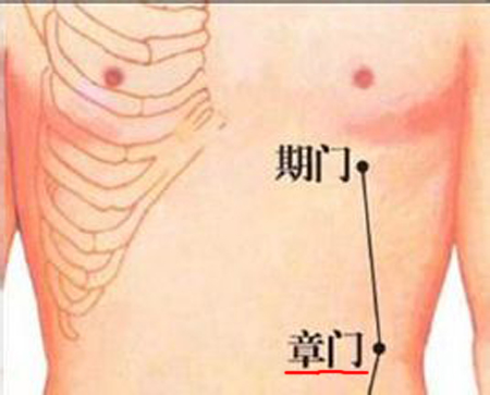 章門(mén)穴→治腹痛、腹脹