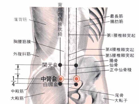 中膂俞穴→益腎溫陽