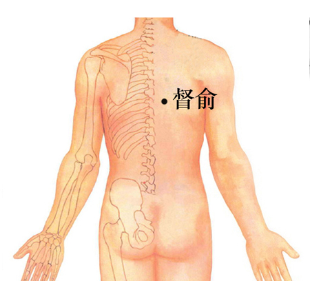 督俞穴→治心痛、胸悶