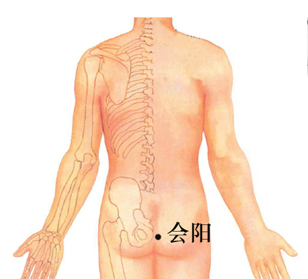 會陽穴→治泄瀉、便血