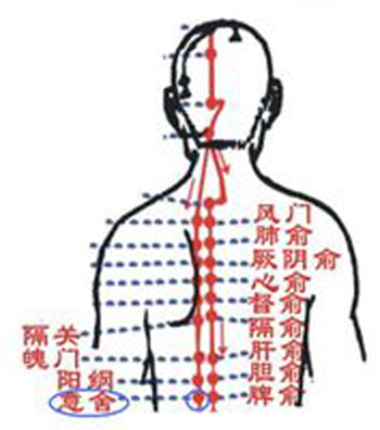 意舍穴→治腹脹、腸鳴