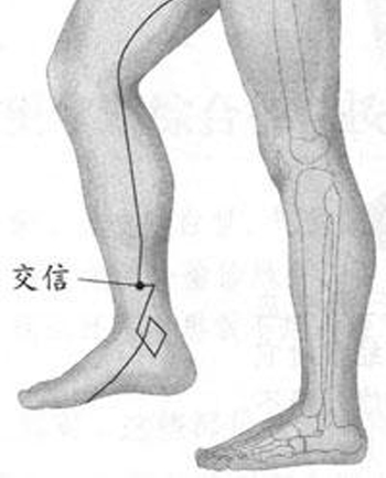 交信穴→益腎調(diào)經(jīng)