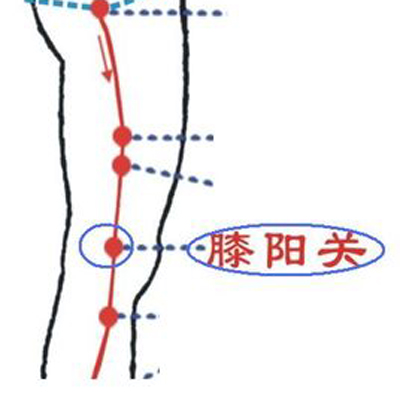 膝陽關(guān)穴→祛風(fēng)除濕