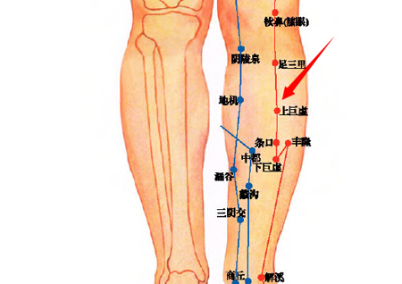 上巨虛穴→治腸鳴、腹痛