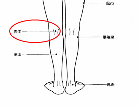 委中穴→治腰痛、腹痛。