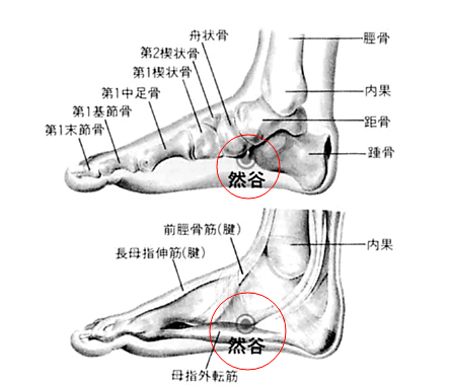 然谷穴→清熱利濕