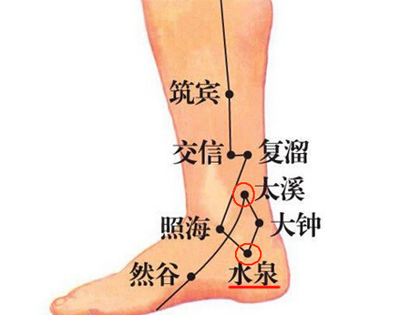 水泉穴→治小便不利、腹痛