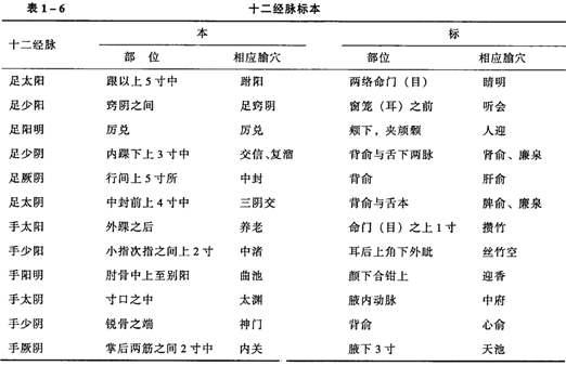 經(jīng)絡(luò)的標(biāo)本