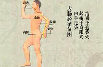 刮痧刮大腸經(jīng)，可以清理腸道、排出宿便