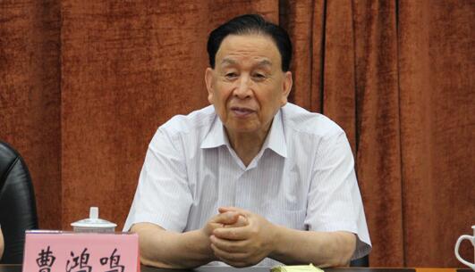 曹鴻鳴委員代表致公黨中央在全國政協(xié)十二屆五次會(huì)議第三次全體會(huì)議上發(fā)言
