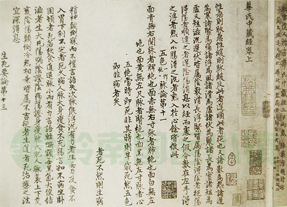 趙子昂書(shū)《中藏經(jīng)》真跡（局部）