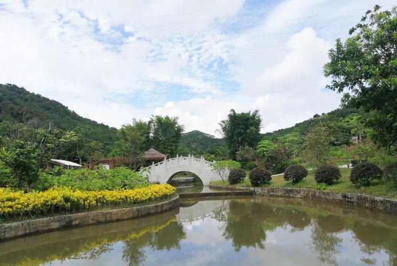 “重陽(yáng)登高識(shí)百草，遍插茱萸承孝道”國(guó)醫(yī)小鎮(zhèn)重陽(yáng)節(jié)主題活動(dòng)招募來(lái)啦！