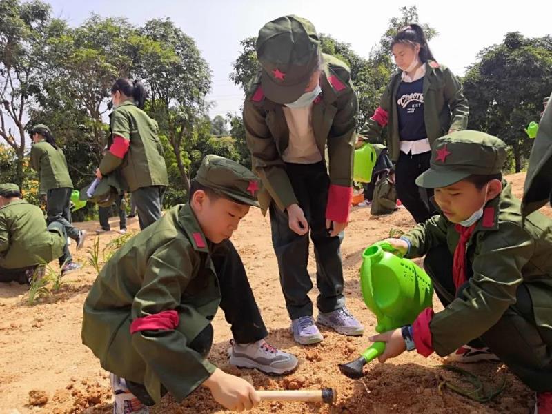 勞動實(shí)踐：種植萱草