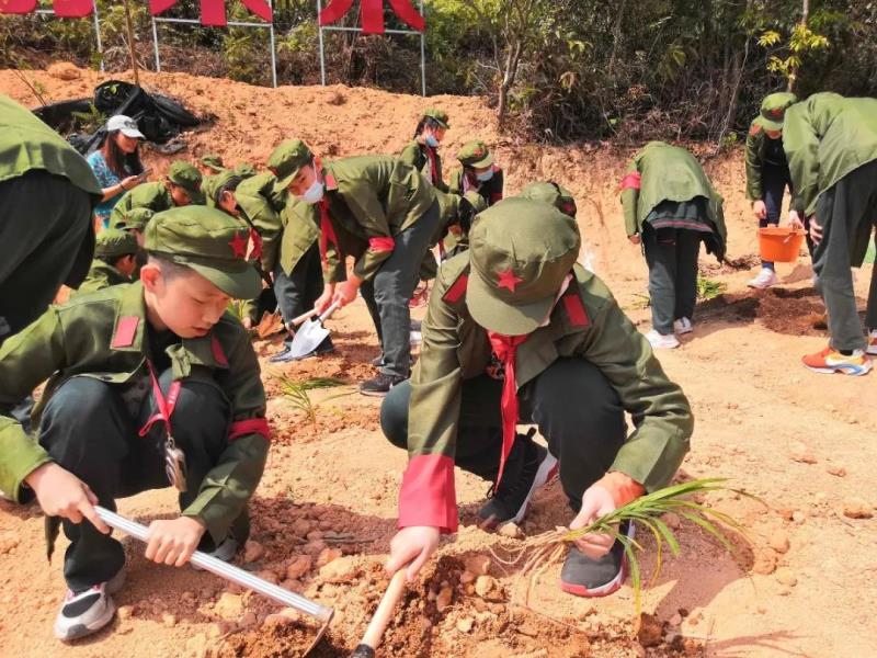 勞動實(shí)踐：種植萱草