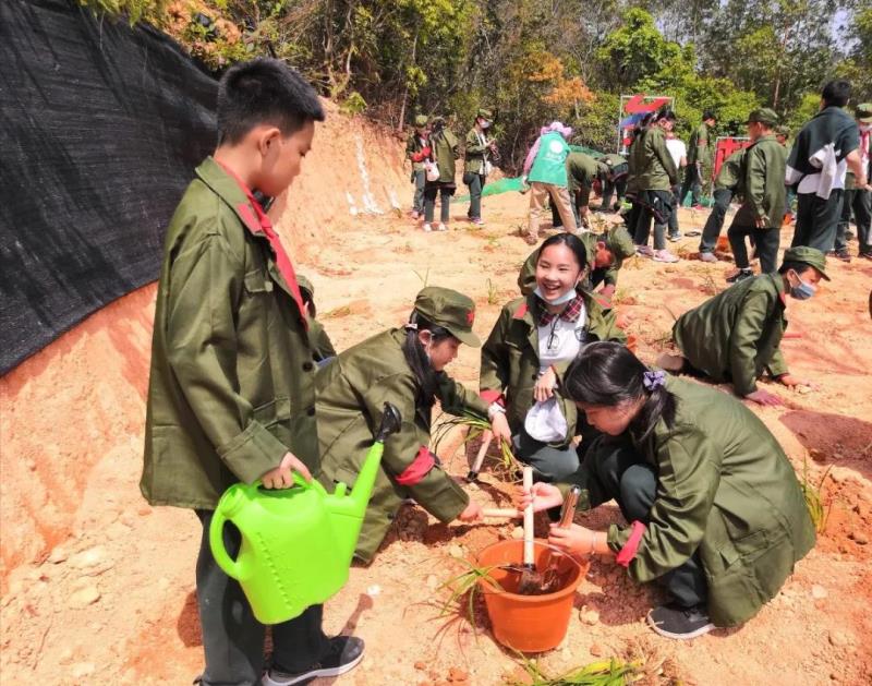 勞動實(shí)踐：種植萱草