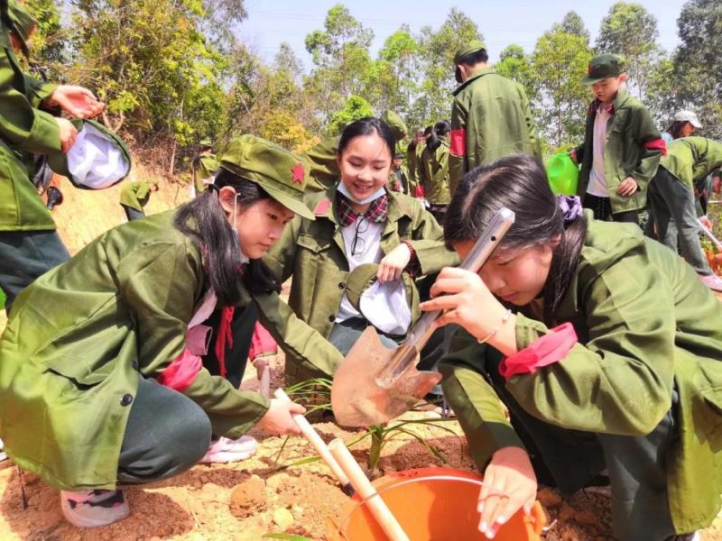 勞動實(shí)踐：種植萱草
