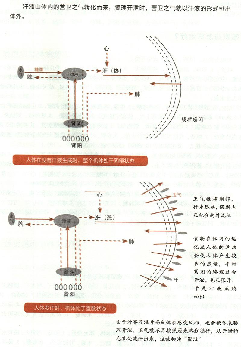 諸汗應(yīng)怎樣治療？