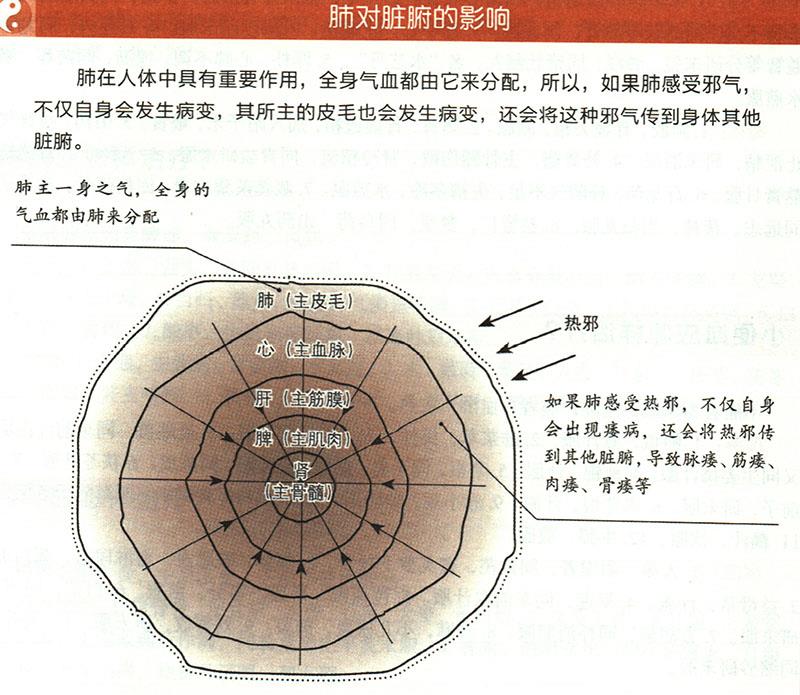 陰痿應(yīng)怎樣治療？