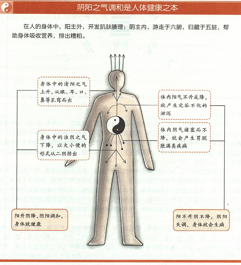 人為什么一定要陰陽調(diào)和才健康？