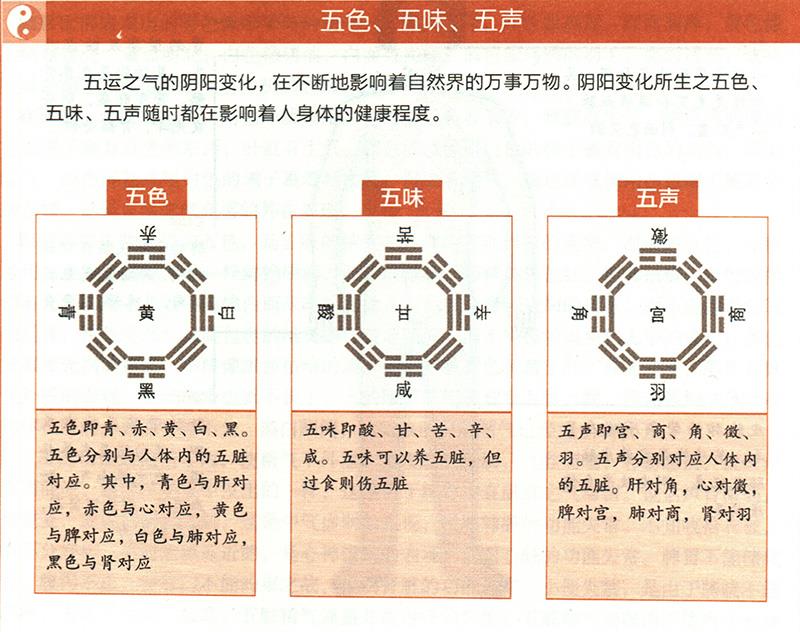 臟腑功能如何在體表上顯現(xiàn)？