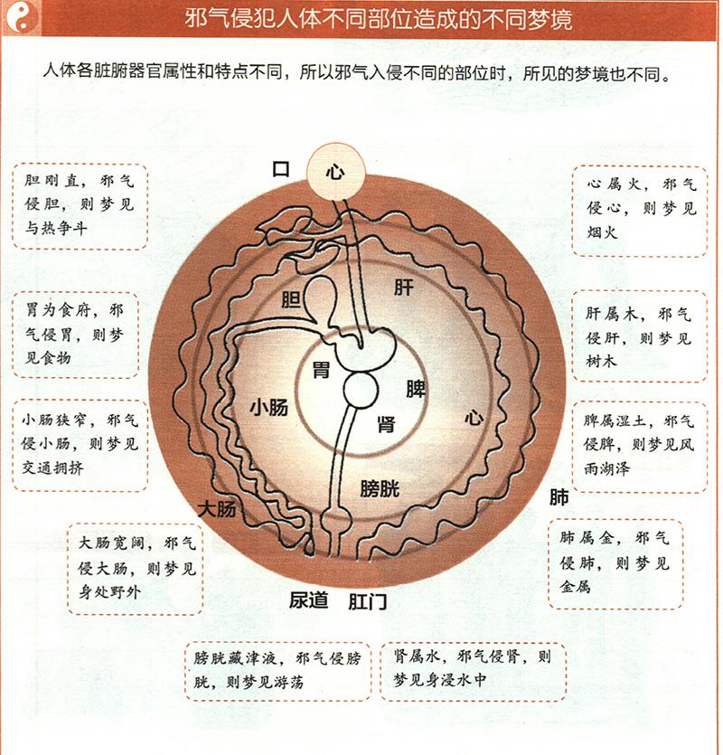 如何從夢境推算健康？