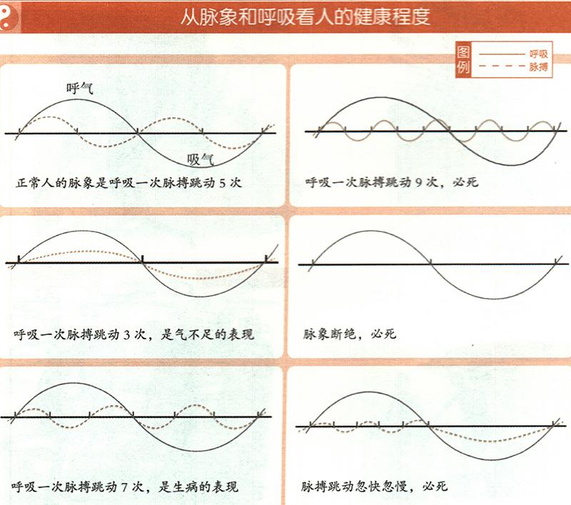 如何從脈象和呼吸推算健康？