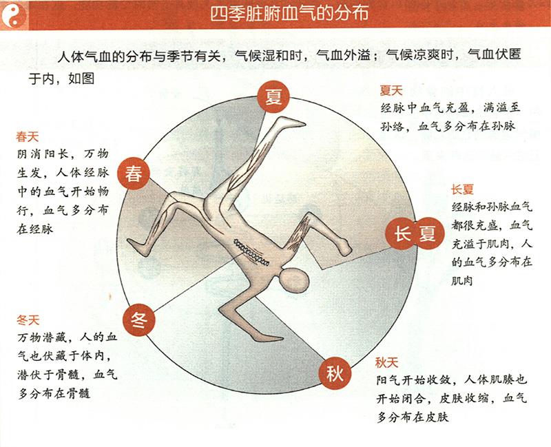 四季臟腑血氣是怎樣分布的？