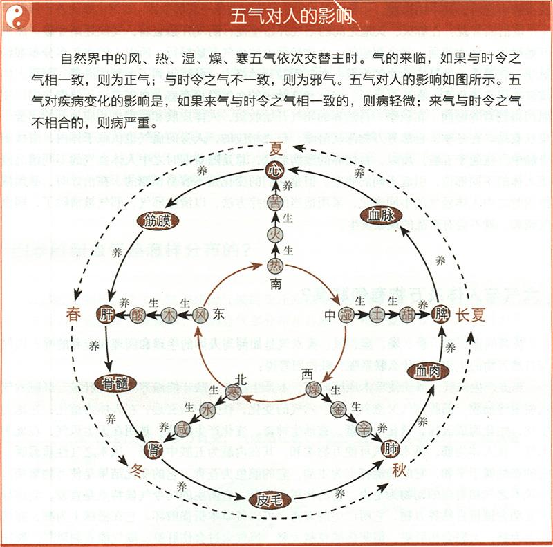 六氣與人體及萬物有何聯(lián)系？