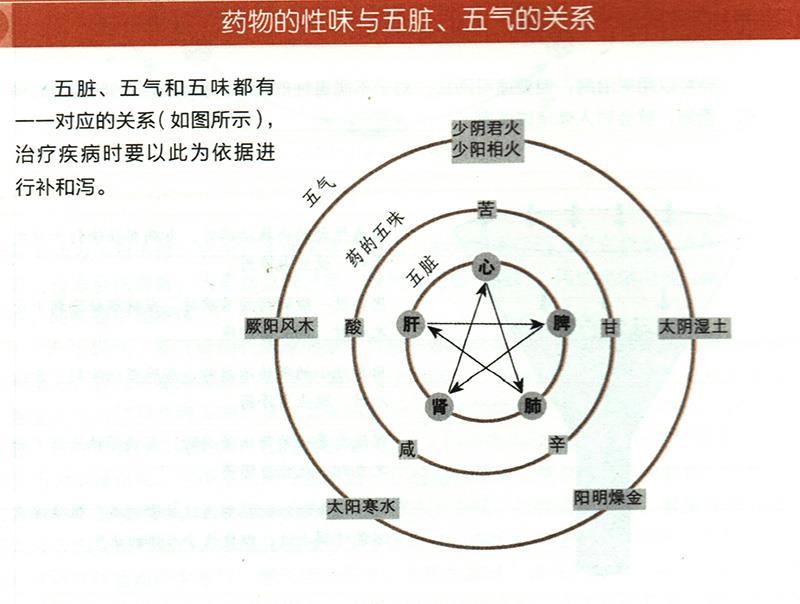 藥物的性味與五臟、五氣有什么關(guān)系？