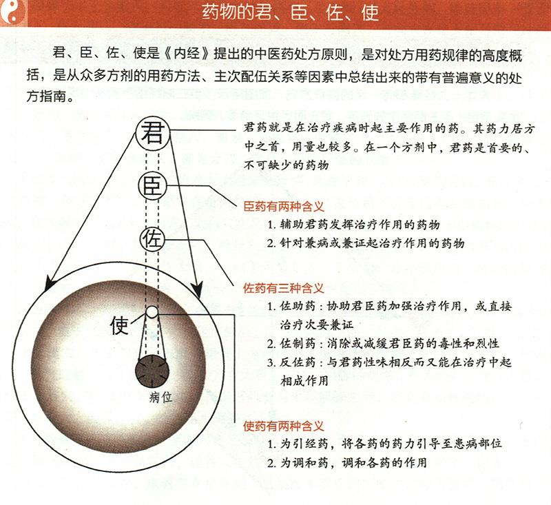 什么是藥物的君臣佐使？