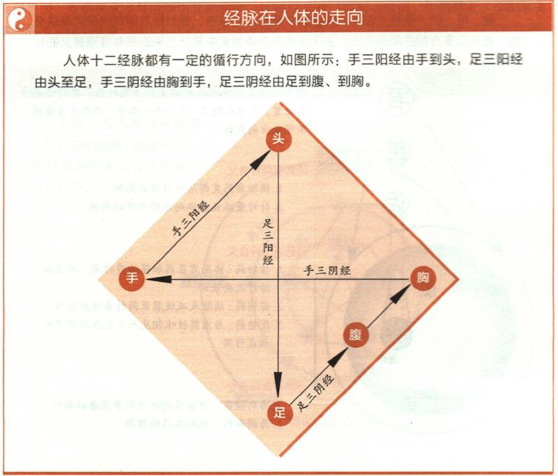 十二經(jīng)脈的起止點(diǎn)分別在哪里？