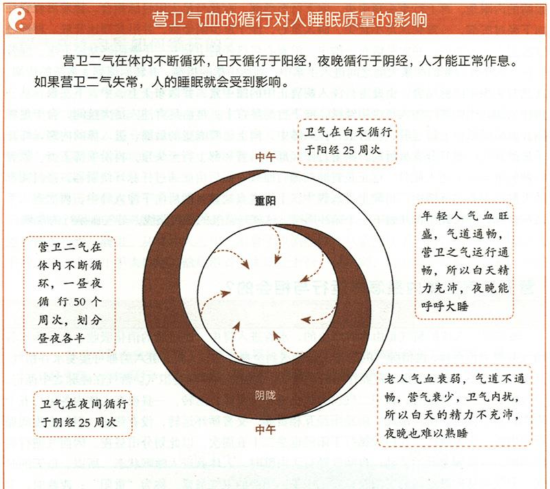 營(yíng)衛(wèi)二氣在體內(nèi)是怎樣運(yùn)行與相會(huì)的？