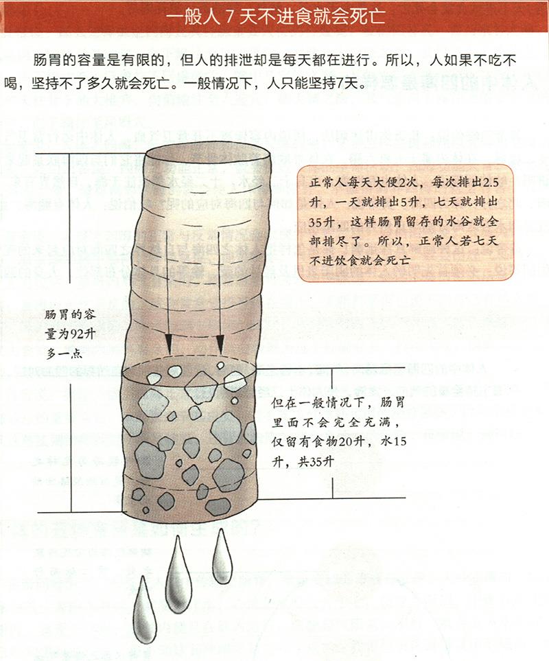 為什么7天不進(jìn)食就會死亡？