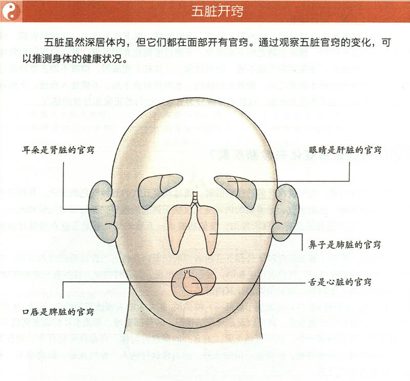 如何根據(jù)五官變化來診斷疾??？