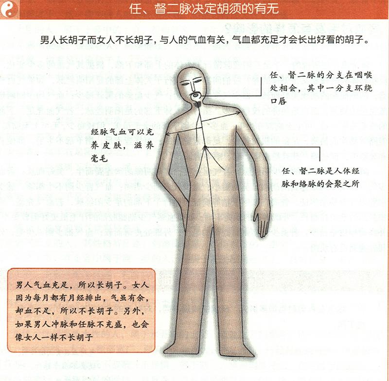 氣血對毛發(fā)有怎樣的影響？