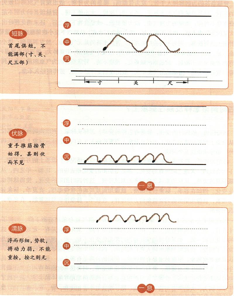 緩、急、小、大、滑、澀六種脈象所對應(yīng)的病狀情形是怎樣的？