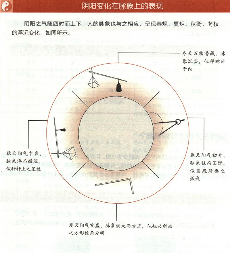 四時陰陽怎樣反映在脈象上？