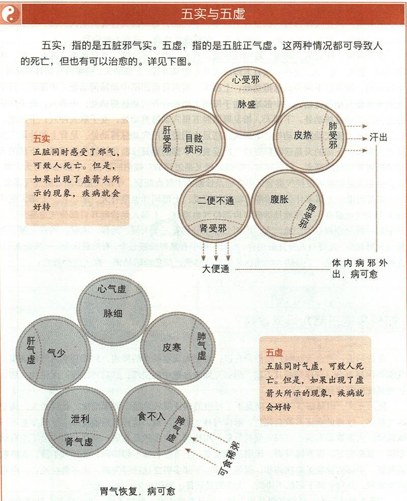 什么是五實五虛？