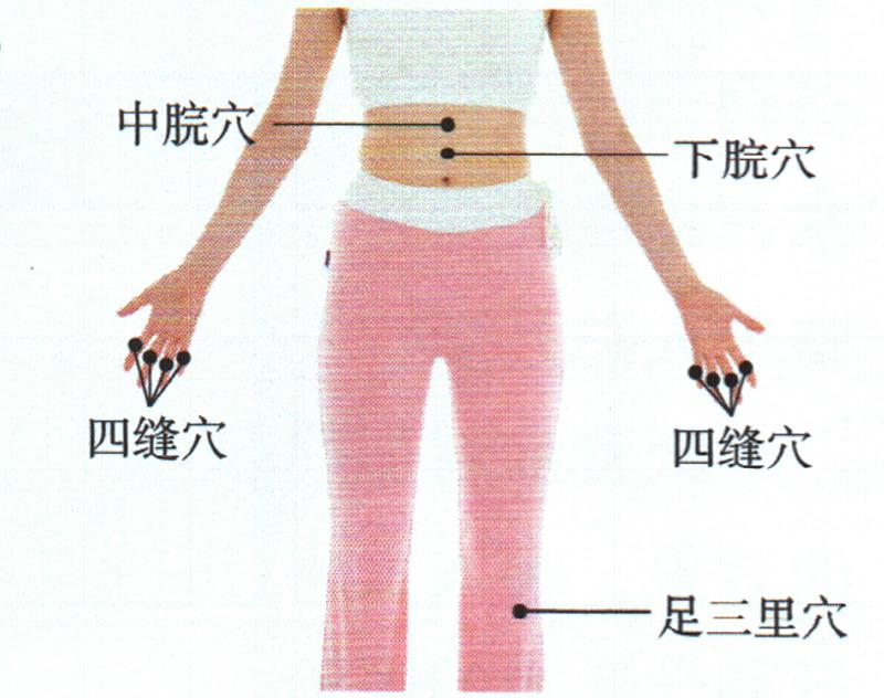 按摩足三里穴、四縫穴、中脘穴，促進吸收增點肉